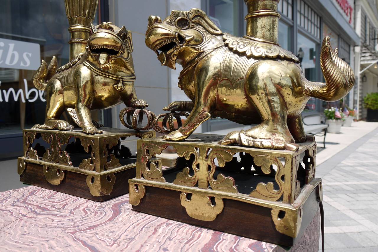 Ein wunderschönes Set von Foo Dog-Lampen aus polierter Bronze aus der Mitte des 19. Jahrhunderts, die ich als Räuchergefäße benutzte. Die Bronze war ursprünglich vergoldet, und auf den Sockeln sind Spuren der roten Farbe zu sehen. Gekauft von der