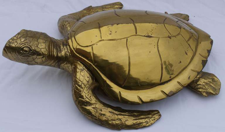 Unknown Large Glam Brass Turtle Box
