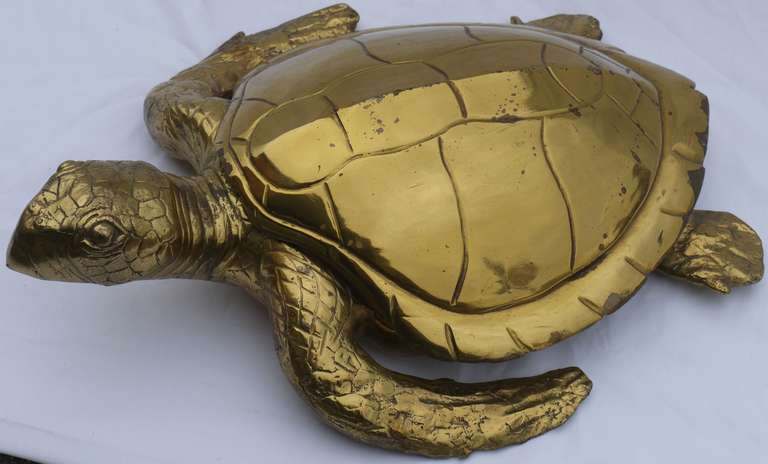 Spectacular cast brass loggerhead turtle box.  Great for a coffee table/console.  Would fit in very well with Gabrella Crespi looking interiors