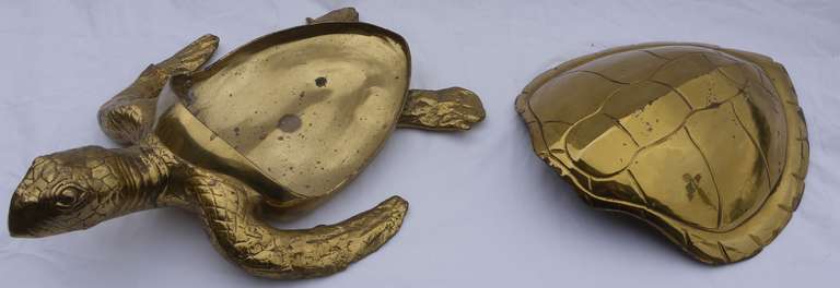 Large Glam Brass Turtle Box 4