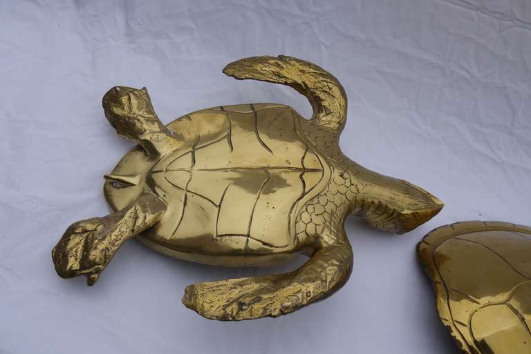 Large Glam Brass Turtle Box 3