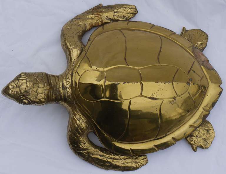 Large Glam Brass Turtle Box In Good Condition In Kilmarnock, VA