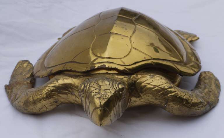 Large Glam Brass Turtle Box 2