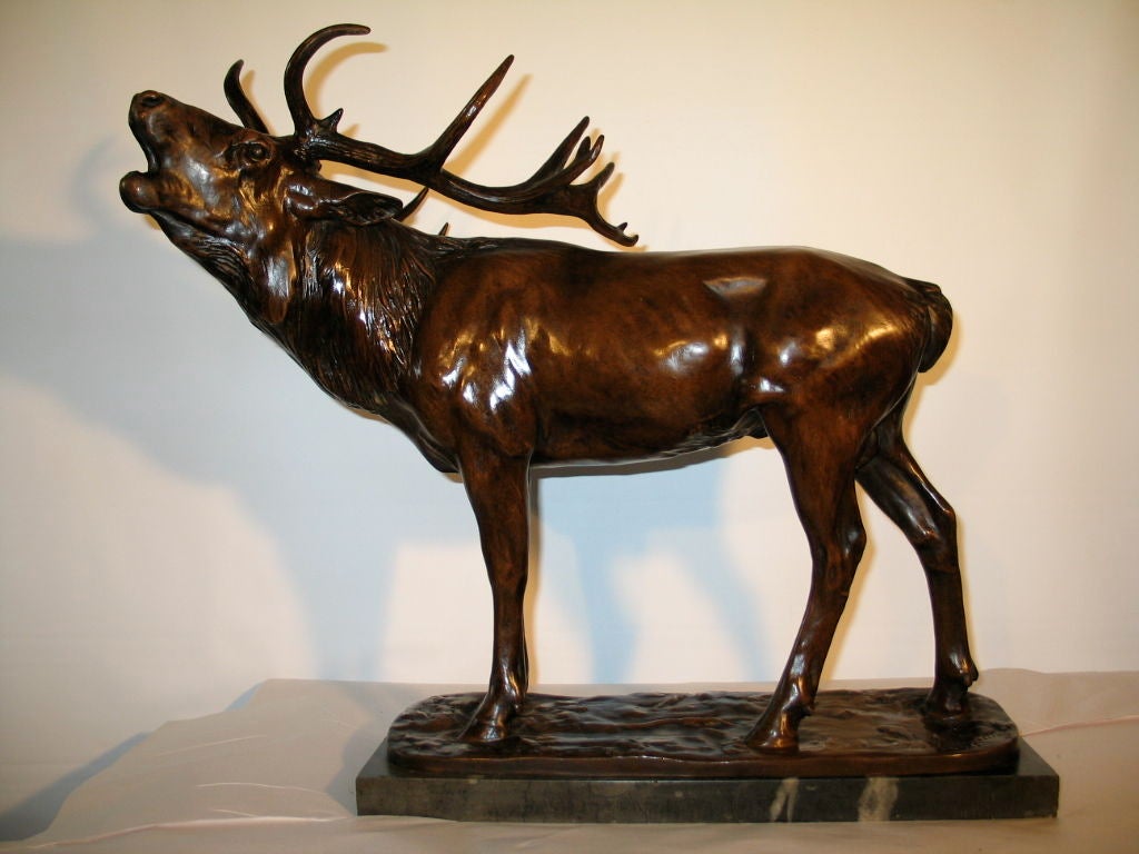 An early twentieth century American bronze of a magnificent elk signed and dated Joseph Tullenberg, 1905. This artist creates a splendid example of a wild creature howling for his mate. The artist's masterful rendition of this wonder of nature