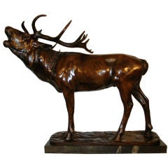 American bronze of an elk