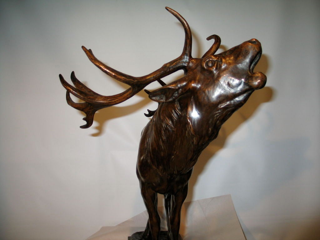 Bronze American bronze of an elk For Sale