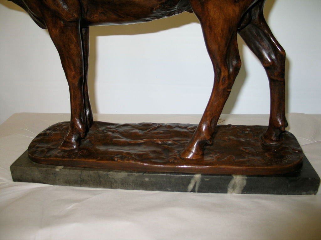 American bronze of an elk For Sale 3