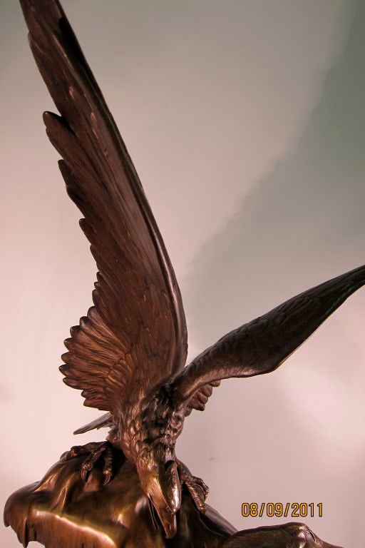 Eagle's prey