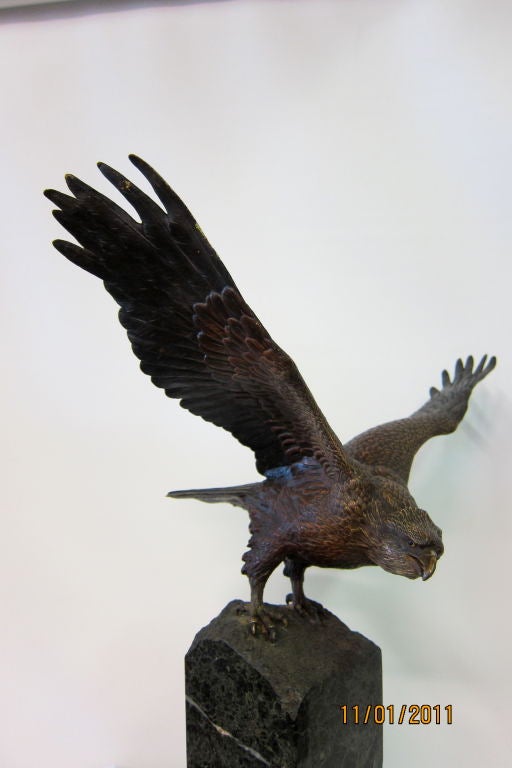 Vienna Bronze Eagle By Bergman 2
