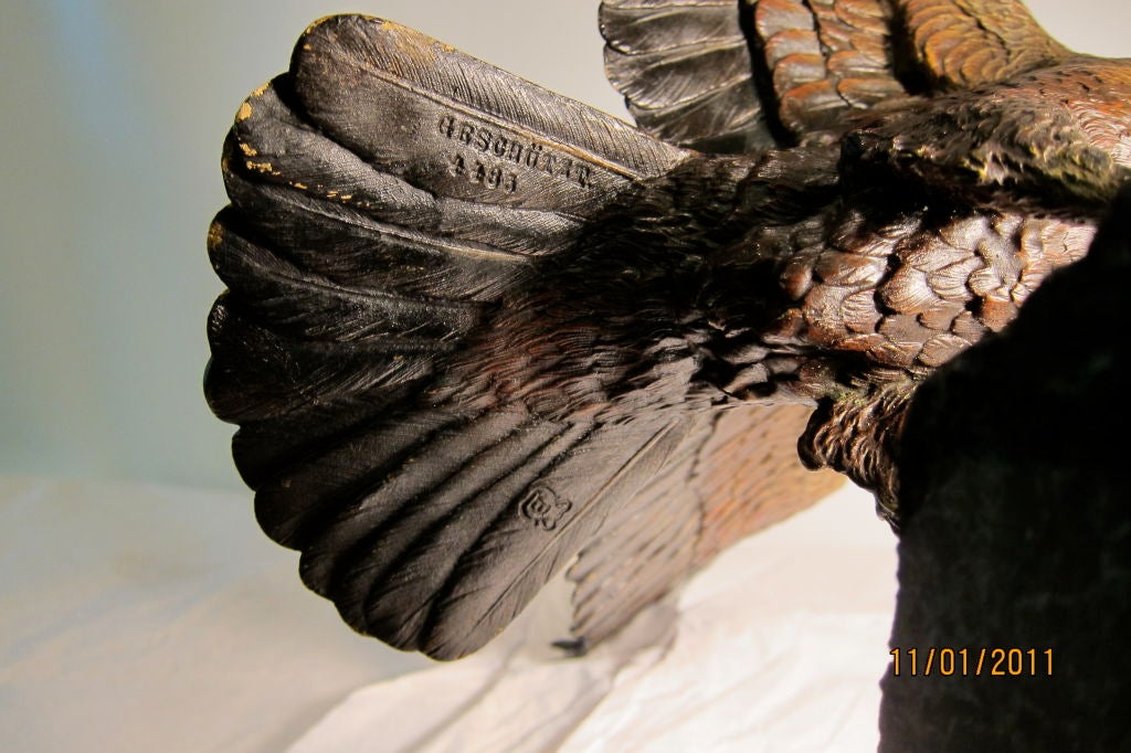 Vienna Bronze Eagle By Bergman 5