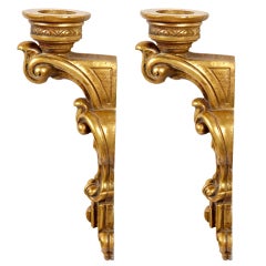 Pair of Vintage Gilded Sconces