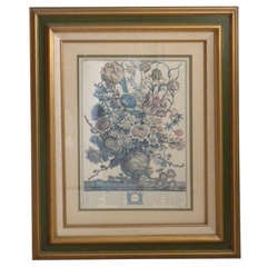 Kensington Palace Vintage Botanical Engraving