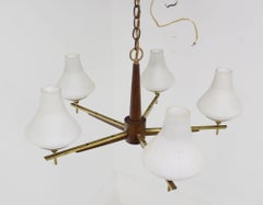 Danish Mid Century Modern Light Fixture Chandelier 5 Frosted Glass Shades