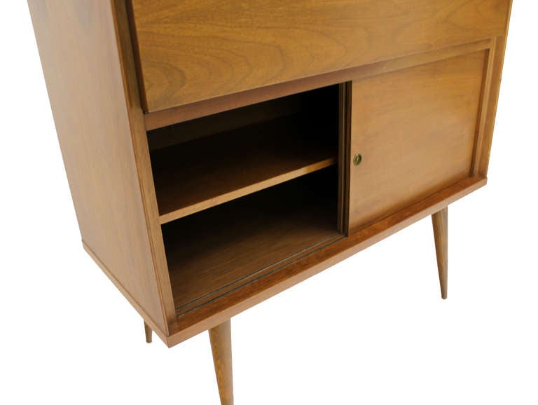 Mid-20th Century Pair of Mid-Century Modern Cabinet Bookcases