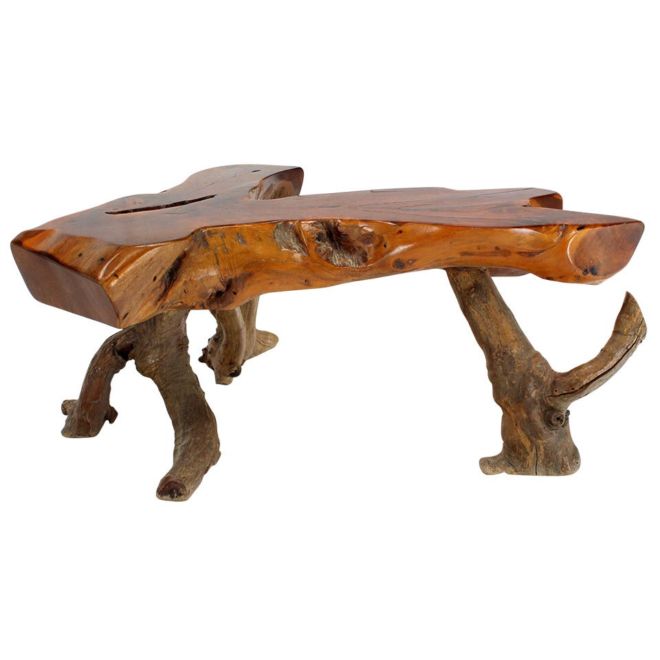 Organic Driftwood Coffee Table