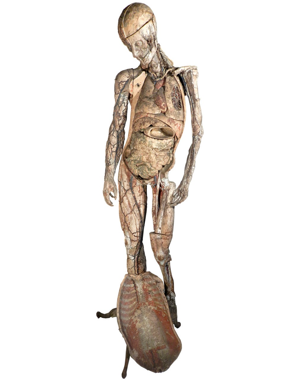Rare 1882 Signed Dr. Auzoux Anatomical Model 1