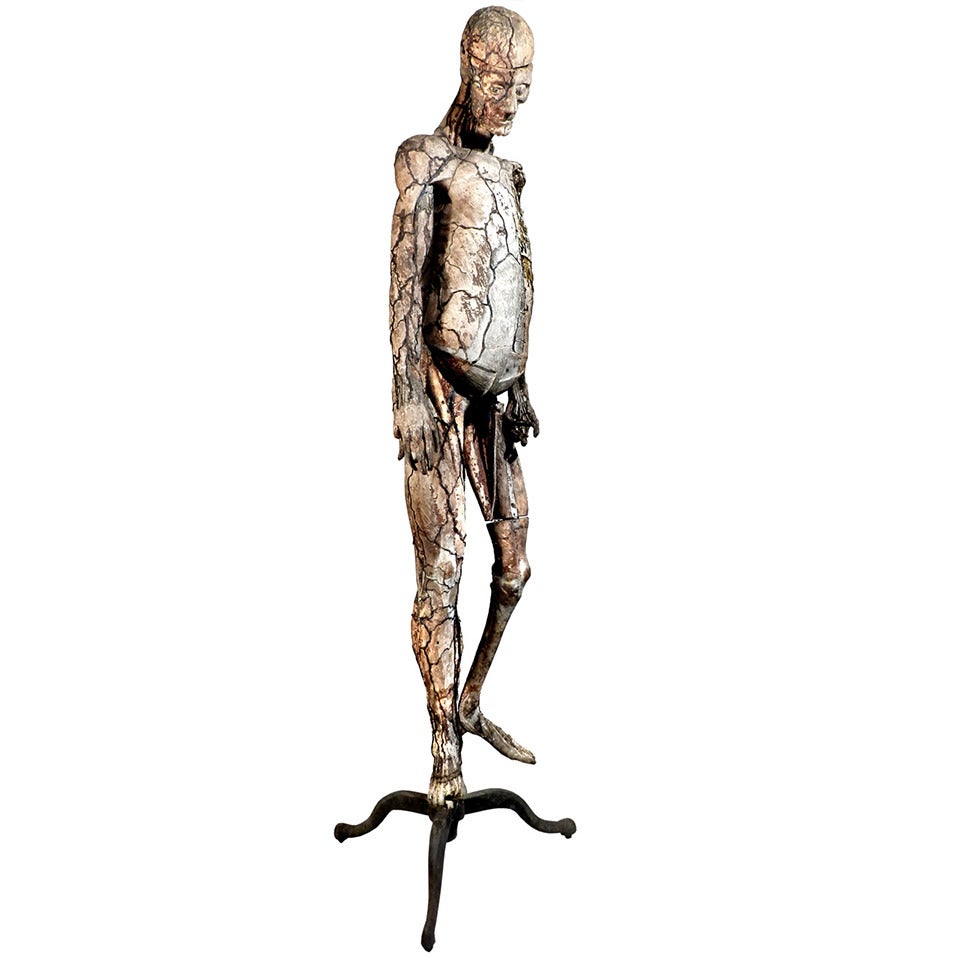Rare 1882 Signed Dr. Auzoux Anatomical Model