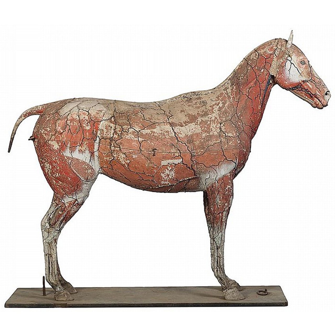 Dr. Auzoux’s Historic Full Sized Quarter Horse Model