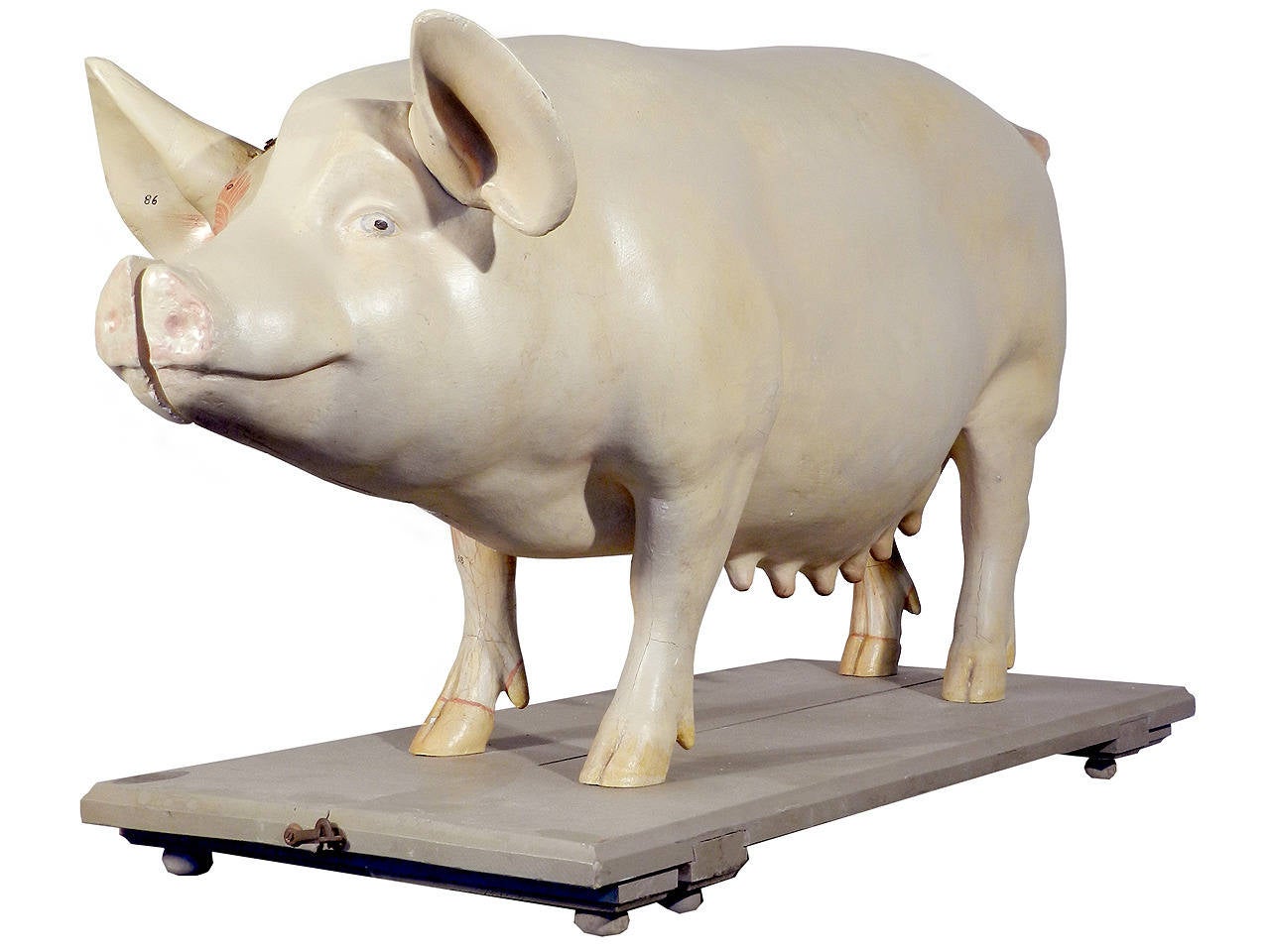 Life Size Anatomical Model of Pig, Germany 2