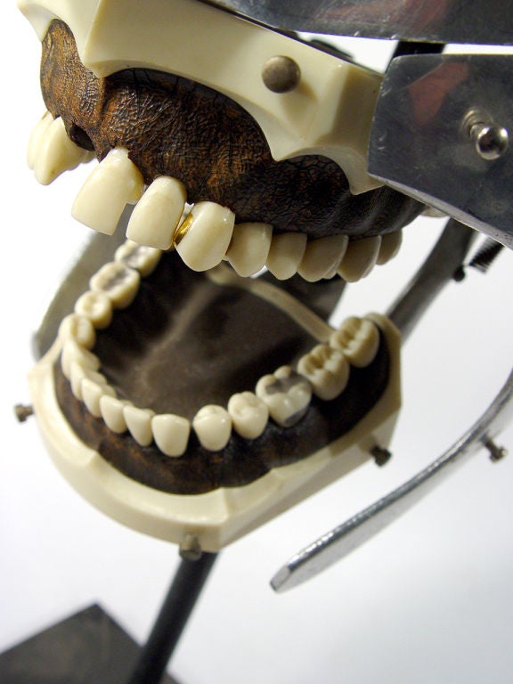 These striking dental mannequin is an example of what I personally like to collect. Think of the visual strength African, Oceanic, Indonesian or even American Indian masks project. I look at these unique medical objects as industry's tribal art.