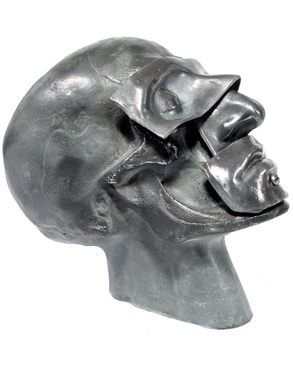 This is a life size medical model. They were used as teaching aids for medical students. These models were an important part of medical history. and was an important teaching tool through the formative years of plastic surgery. This is an early cast