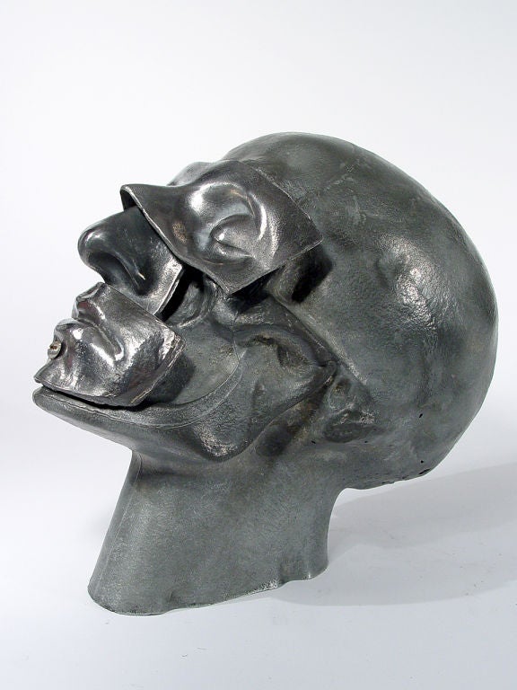 20th Century Important 1920's Medical Artist Model