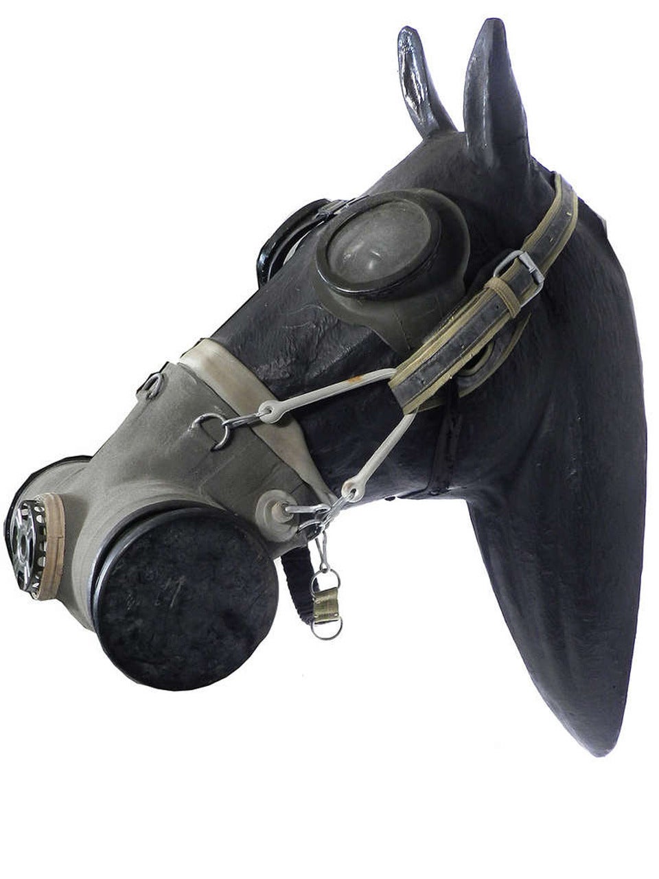 Horse gas masks were first used during World War I to protect horses from harmful chemical agents. Horses were the primary mode of transporting men and material to war zones and needed protection from irritating chemicals like chlorine and phosgene,