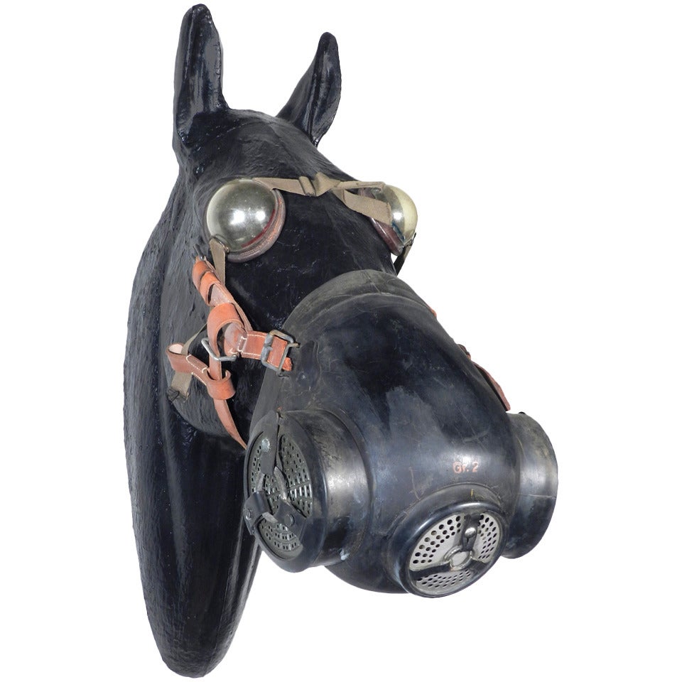 Rare WWII German Horse Gas Mask at 1stDibs