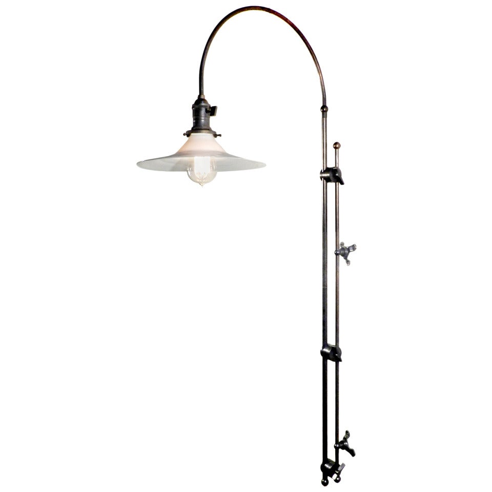 Adjustable Arched Wall-Mounted Lamp
