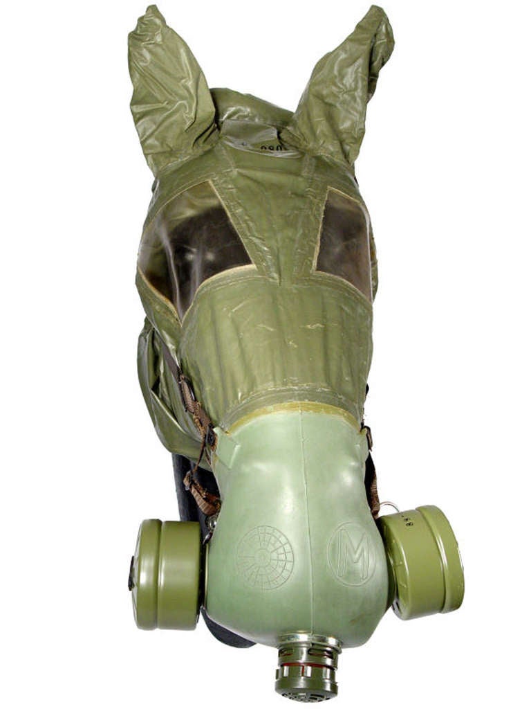 horses with gas masks