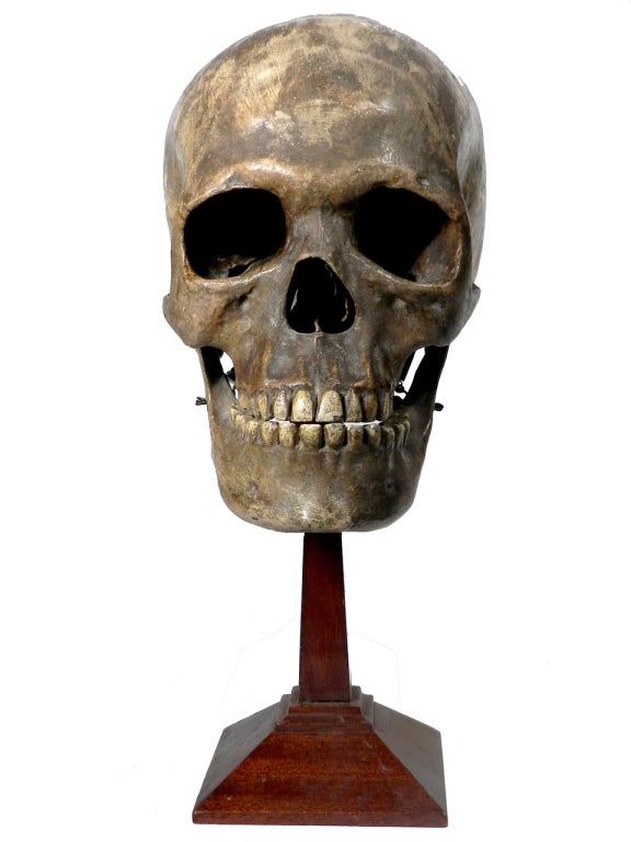 The skull is unsigned but from my experience the style says Dr. Auzoux. If you are a seasoned collector than you already know just how rare and sought after these models are. The quality and accuracy of this skull as well as the subtle and