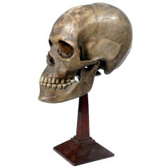 Antique 1800s Dr. Auzoux papier-mâché Skull