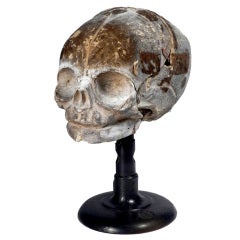 1800s Dr. Auzoux Papier-Mâché Fetal Skull