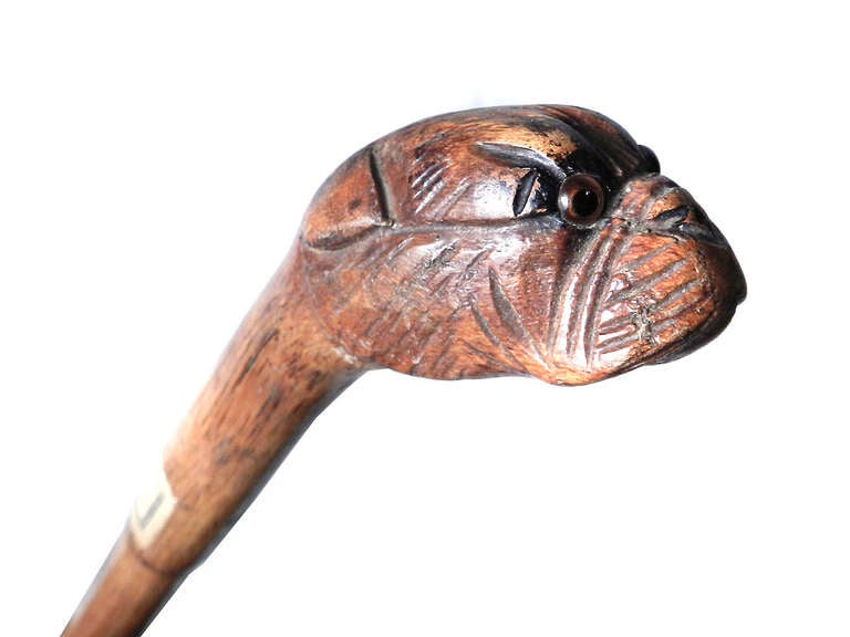 Carved Dog Head Walking Sticks - Collection of Four