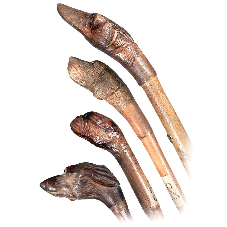Dog Head Walking Sticks - Collection of Four
