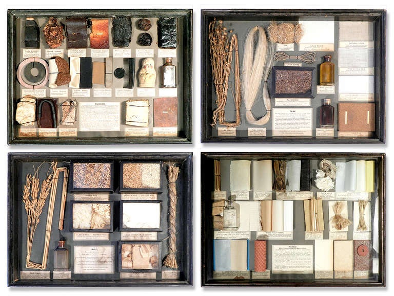 19th Century 100 Year Old Museum Cabinet Filled With Unique Displays