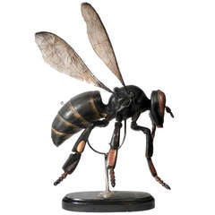 Grand modèle anatomique ancien d'une abeille