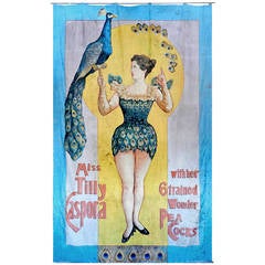 Vintage Hand-Painted Carnival Sideshow Banner