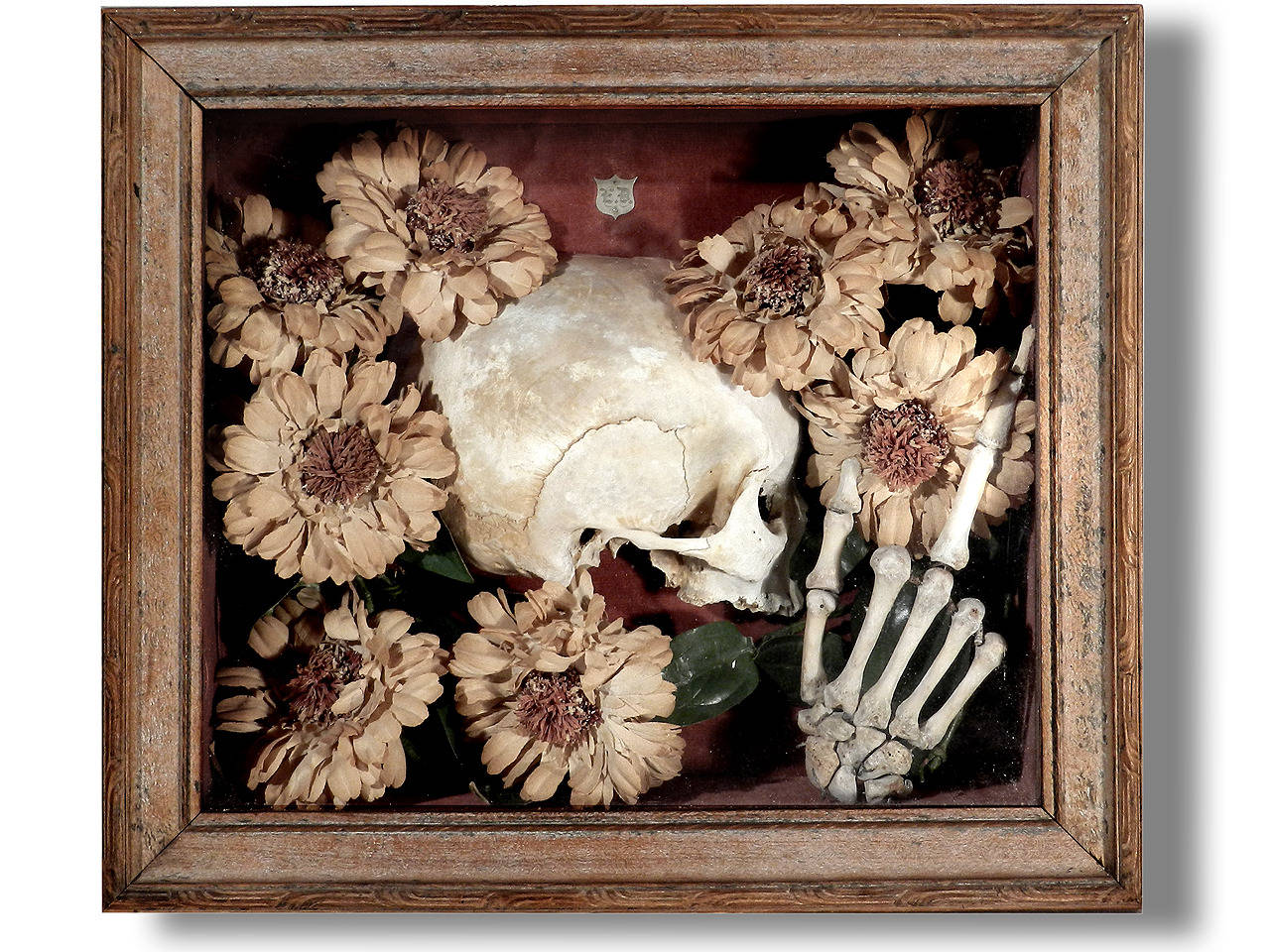 This is one of the best 19th century examples of a Memento Mori I have ever offered. It's at least 150 years old and in perfect condition. If you collect this type of rare Victorian oddity you already know just how unique this one is. There is some