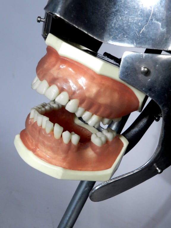 Dental Phantom Head