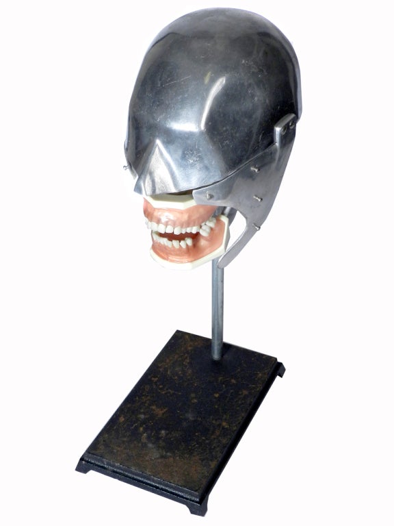 Dental Phantom Head at 1stDibs