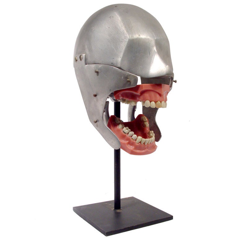 Dental Phantom Head