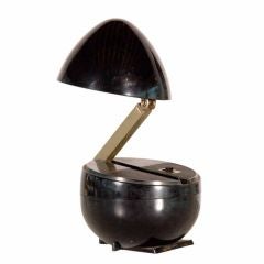 Black Swan Reading Light