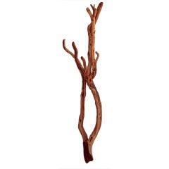 Towering Exotic Sub-Tropical Wood Sculpture
