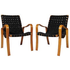 Thonet Chairs 