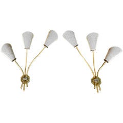 Pair of French Mid-Century Sconces Attributed to Mathieu Matégot