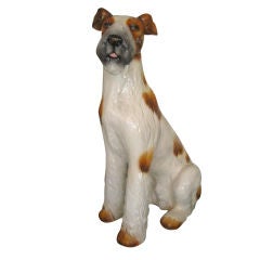 Fox Terrier