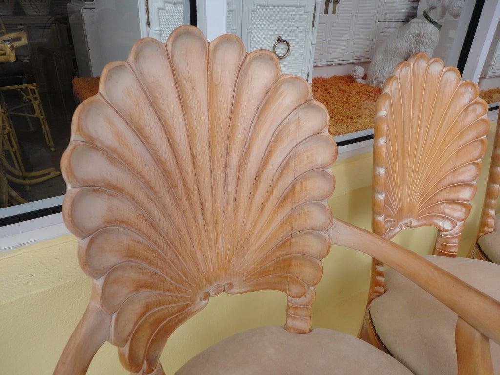 6 SHELL back Chairs