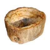 Fossil bowl.