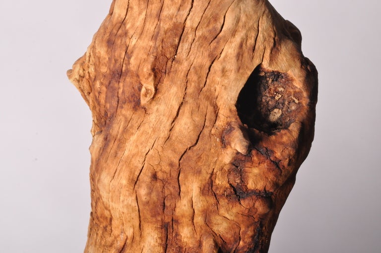 Contemporary Wood Sculpture on Stand